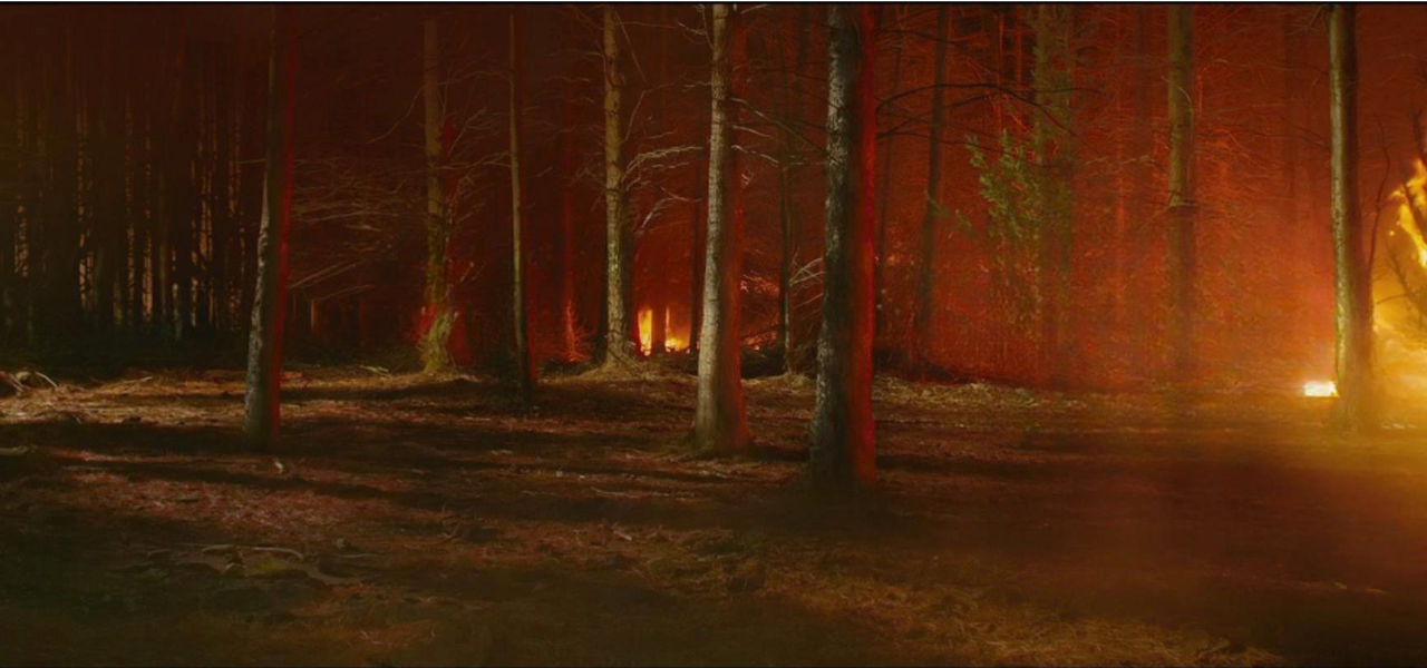 Forest fire by DracoAwesomeness on DeviantArt