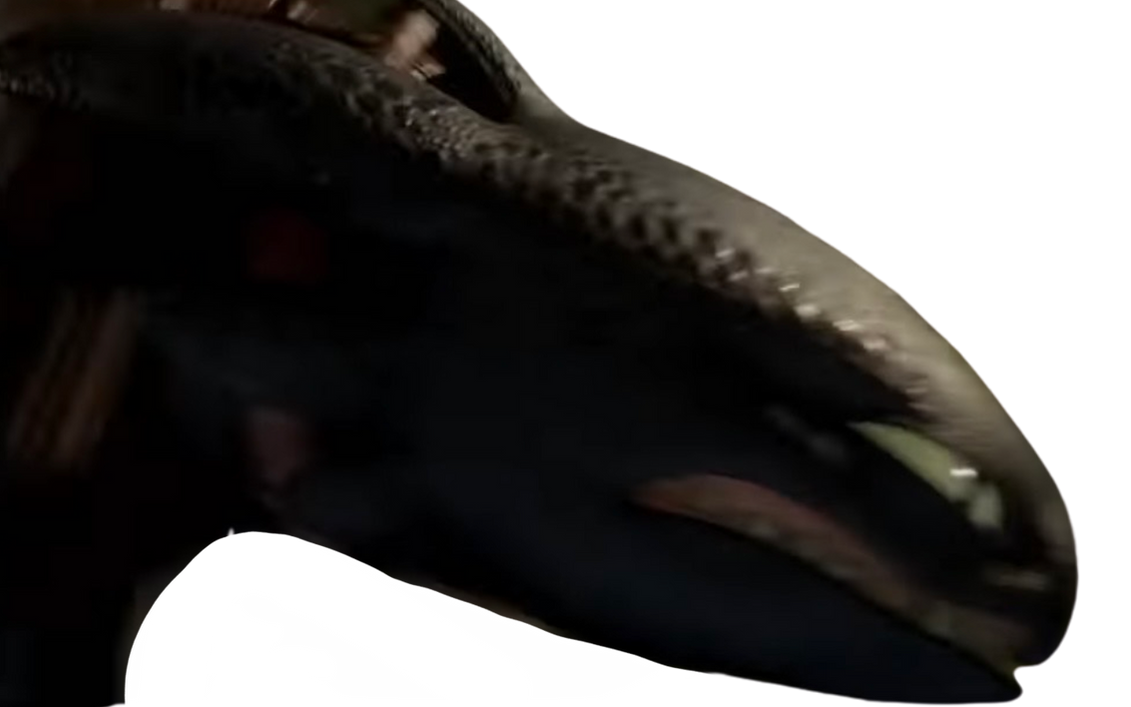 Toothless by DracoAwesomeness on DeviantArt