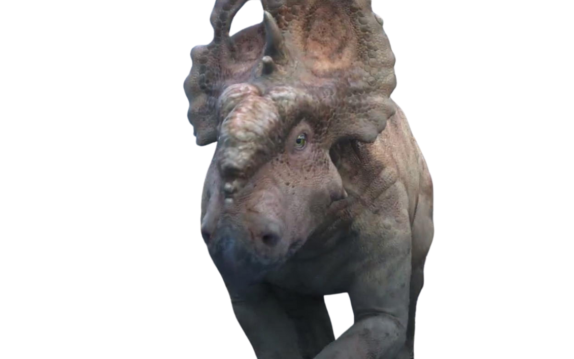Patchi by DracoAwesomeness on DeviantArt