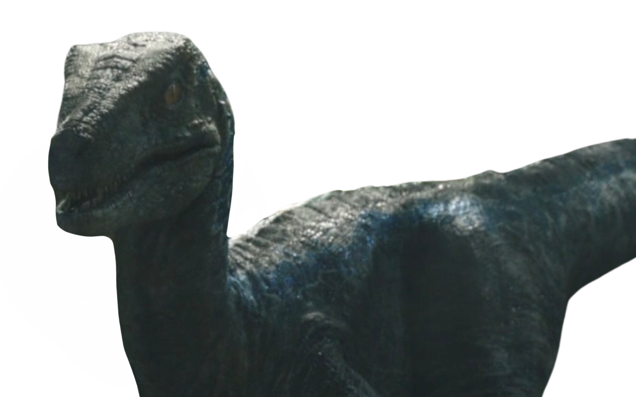 Blue Raptor Dead Blue by DracoAwesomeness on DeviantArt