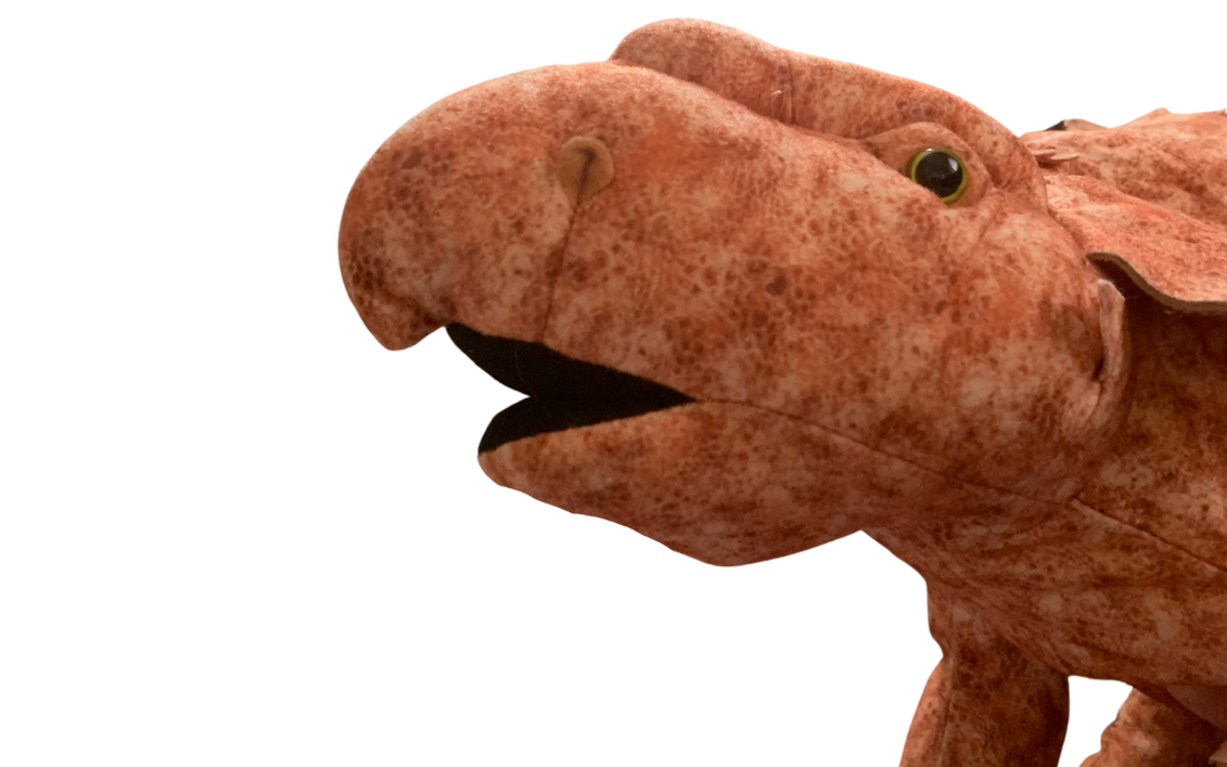 Patchi by DracoAwesomeness on DeviantArt
