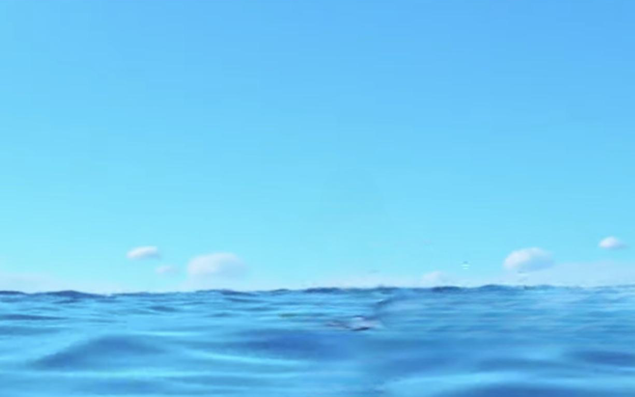 Deviantart Ocean Background The ocean by DracoAwesomeness on DeviantArt