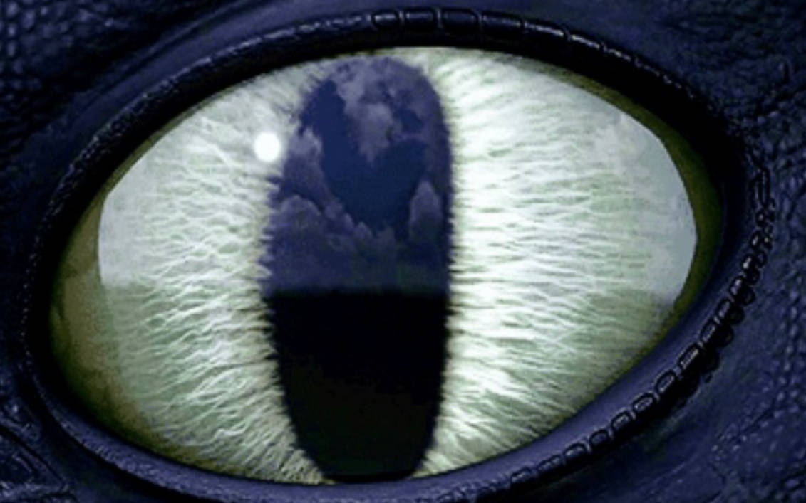Toothless eye by DracoAwesomeness on DeviantArt
