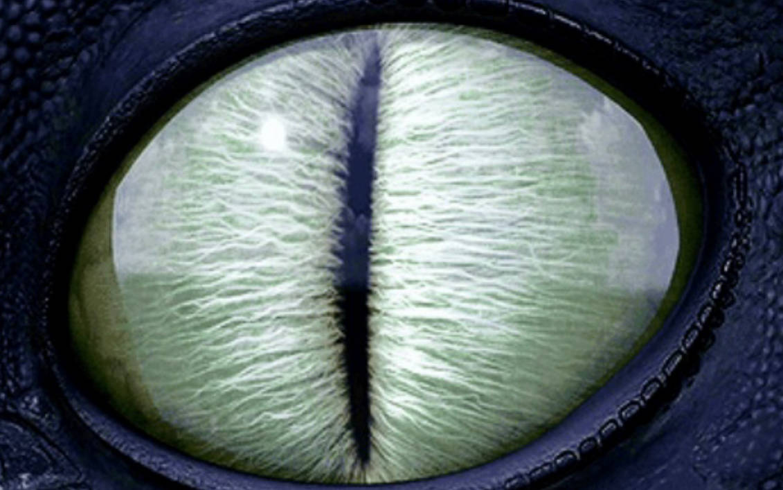 Toothless eye by DracoAwesomeness on DeviantArt