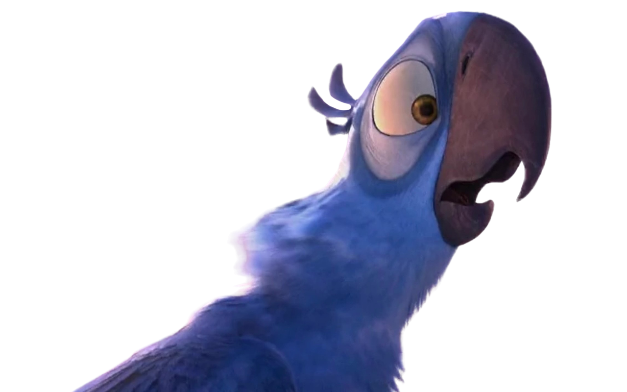 Blue Opila Bird png by Coenisawesome on DeviantArt