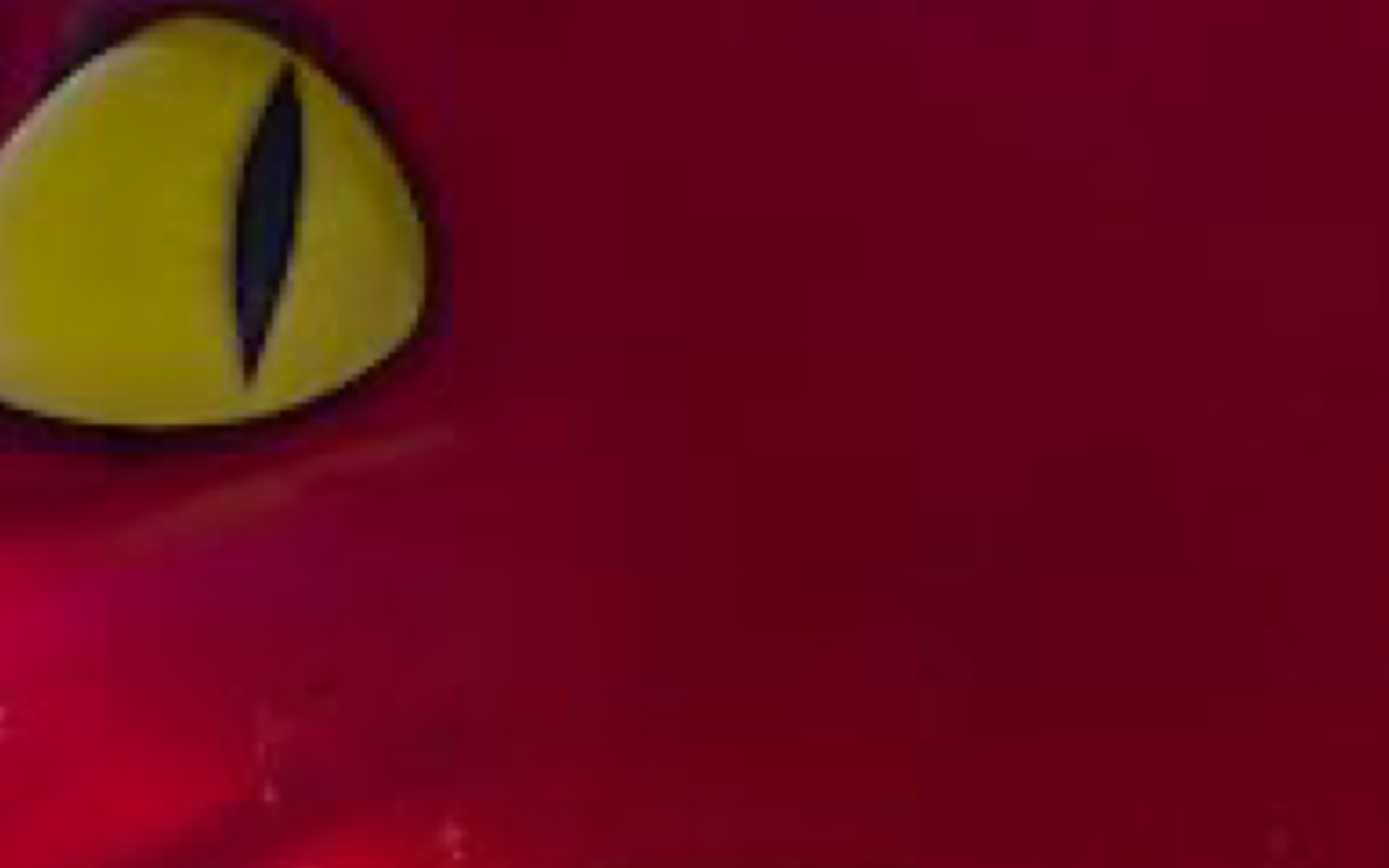 Reds eye by DracoAwesomeness on DeviantArt