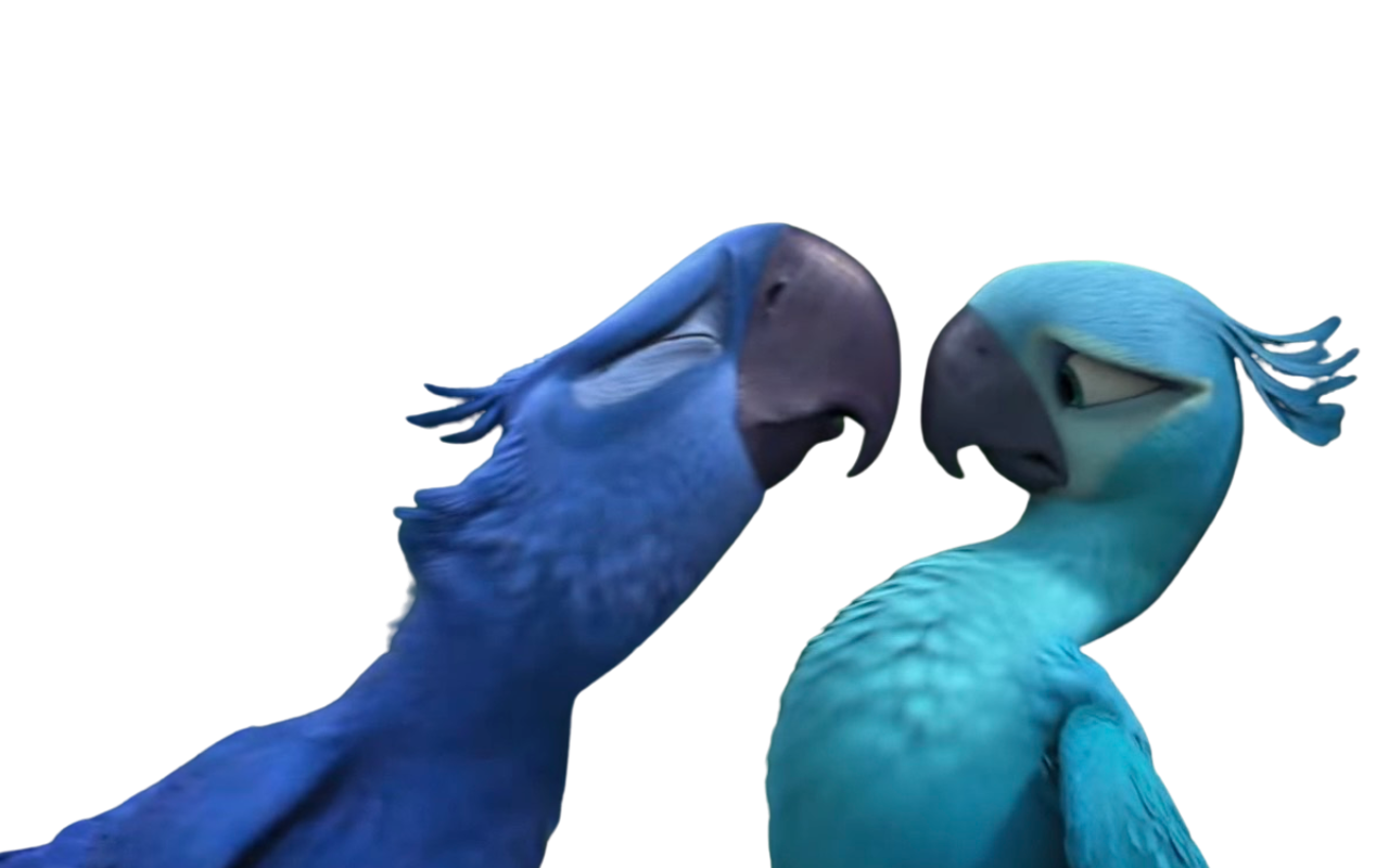 Blu and Jewel by DracoAwesomeness on DeviantArt