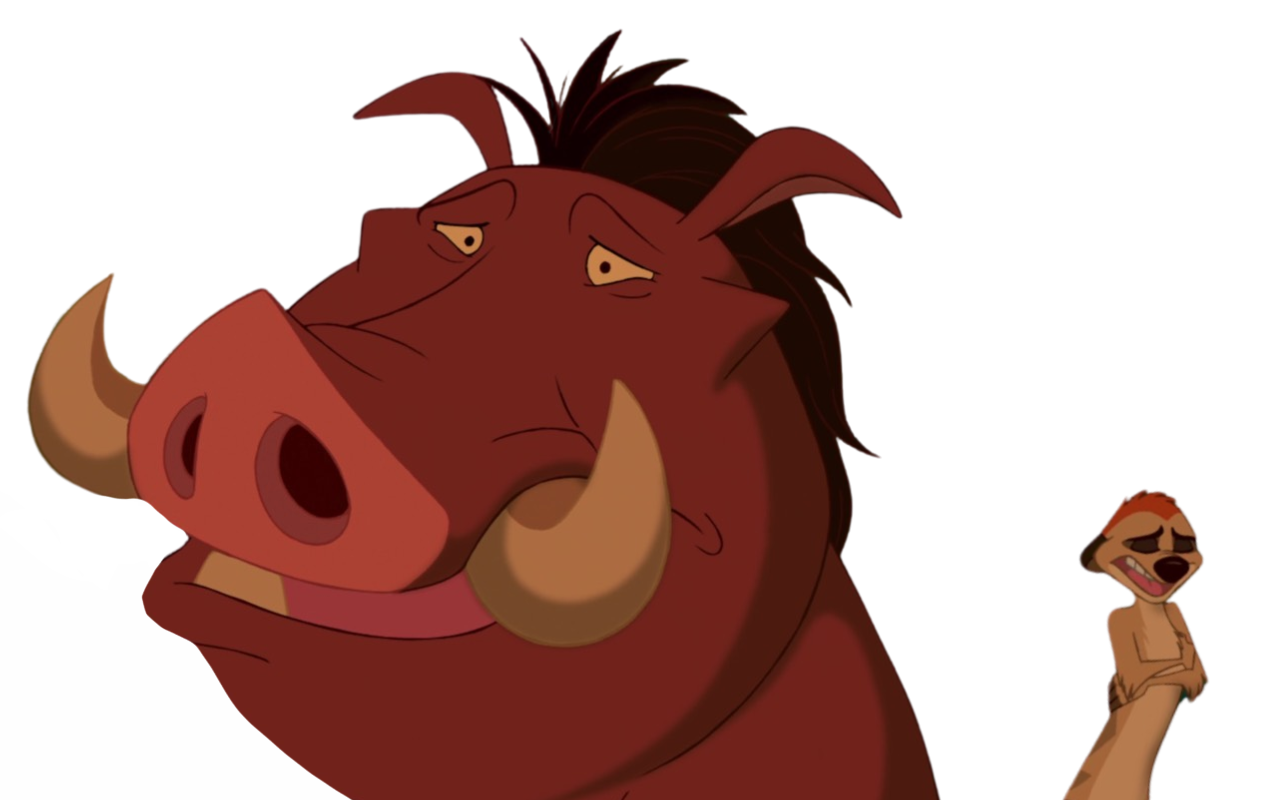 Timon and pumbaa by DracoAwesomeness on DeviantArt
