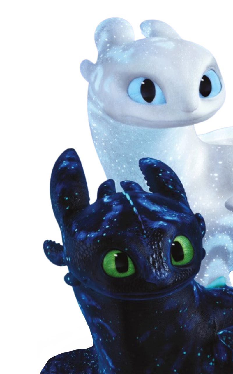 Toothless Combo Toothless and the light fury by DracoAwesomeness on DeviantArt