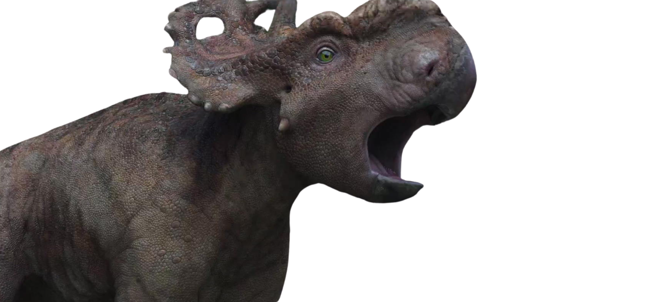 Patchi by DracoAwesomeness on DeviantArt