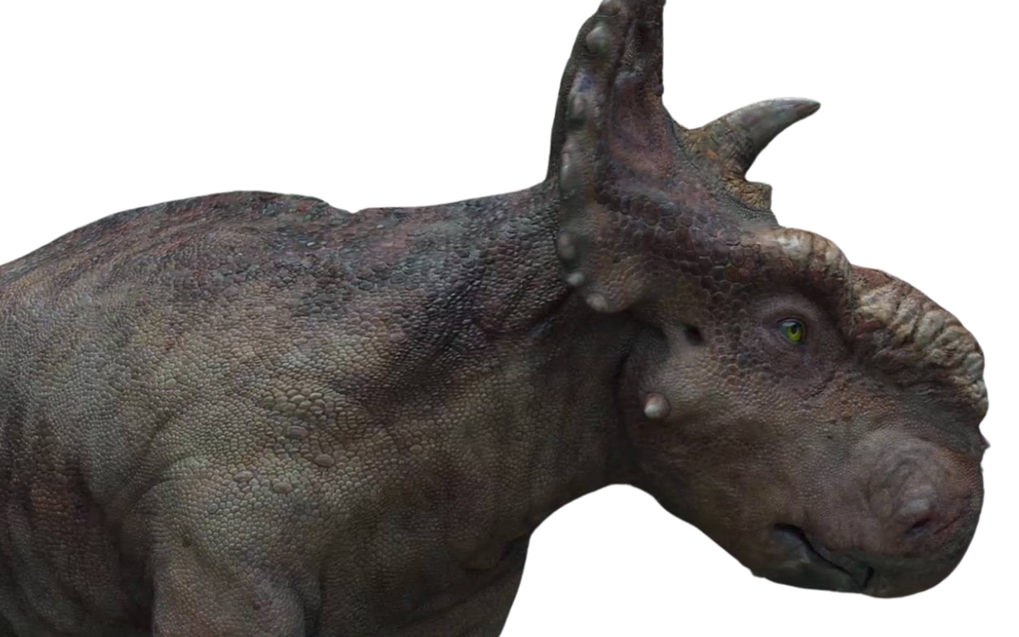 Patchi by DracoAwesomeness on DeviantArt