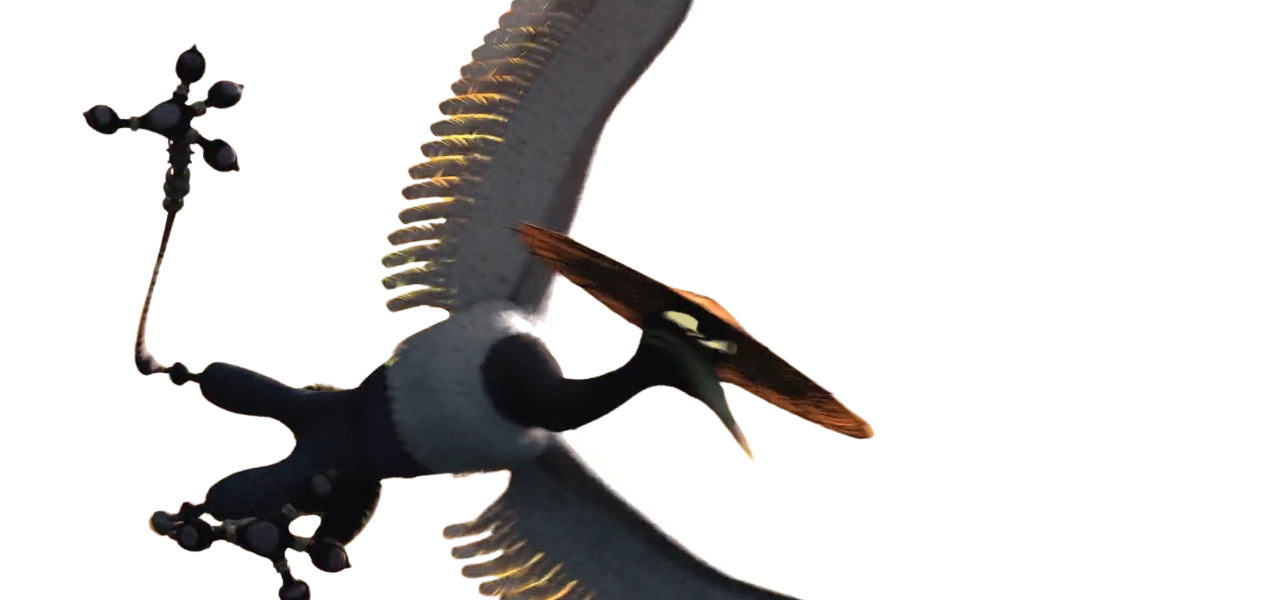 Pterodactyl by DracoAwesomeness on DeviantArt