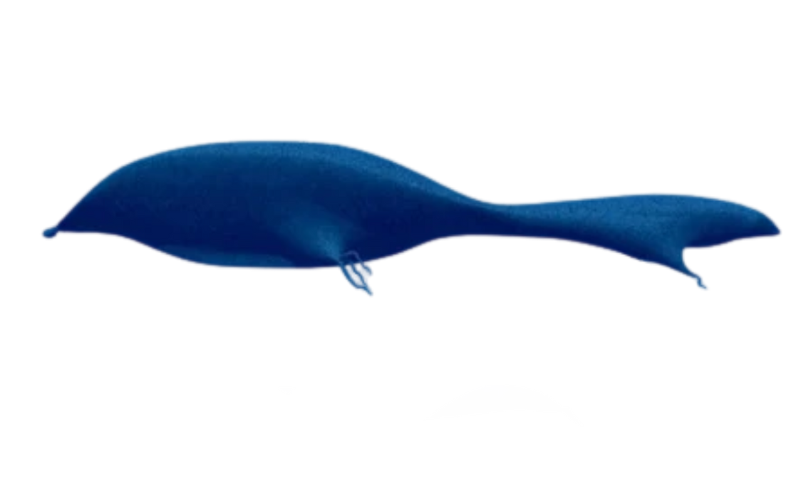 The bloop by DracoAwesomeness on DeviantArt