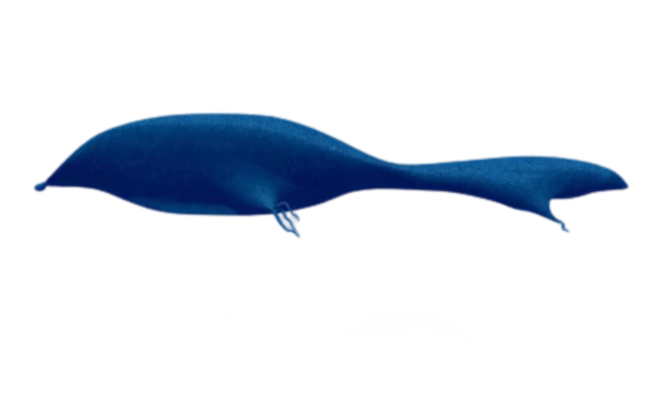 Bloop Deviantart The bloop by DracoAwesomeness on DeviantArt