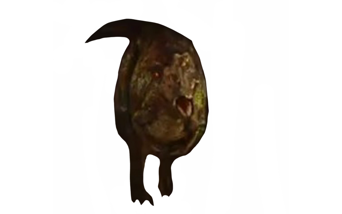 Gorgosaurus