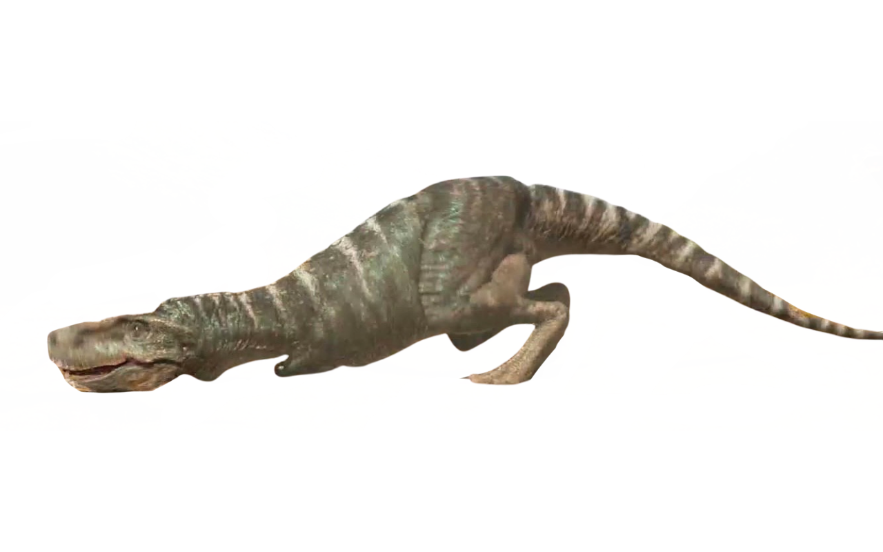 Gorgosaurus by DracoAwesomeness on DeviantArt
