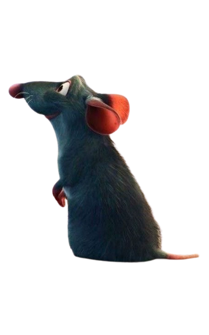 Remy by DracoAwesomeness on DeviantArt