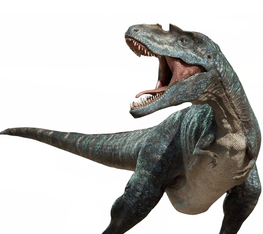 Gorgosaurus by DracoAwesomeness on DeviantArt