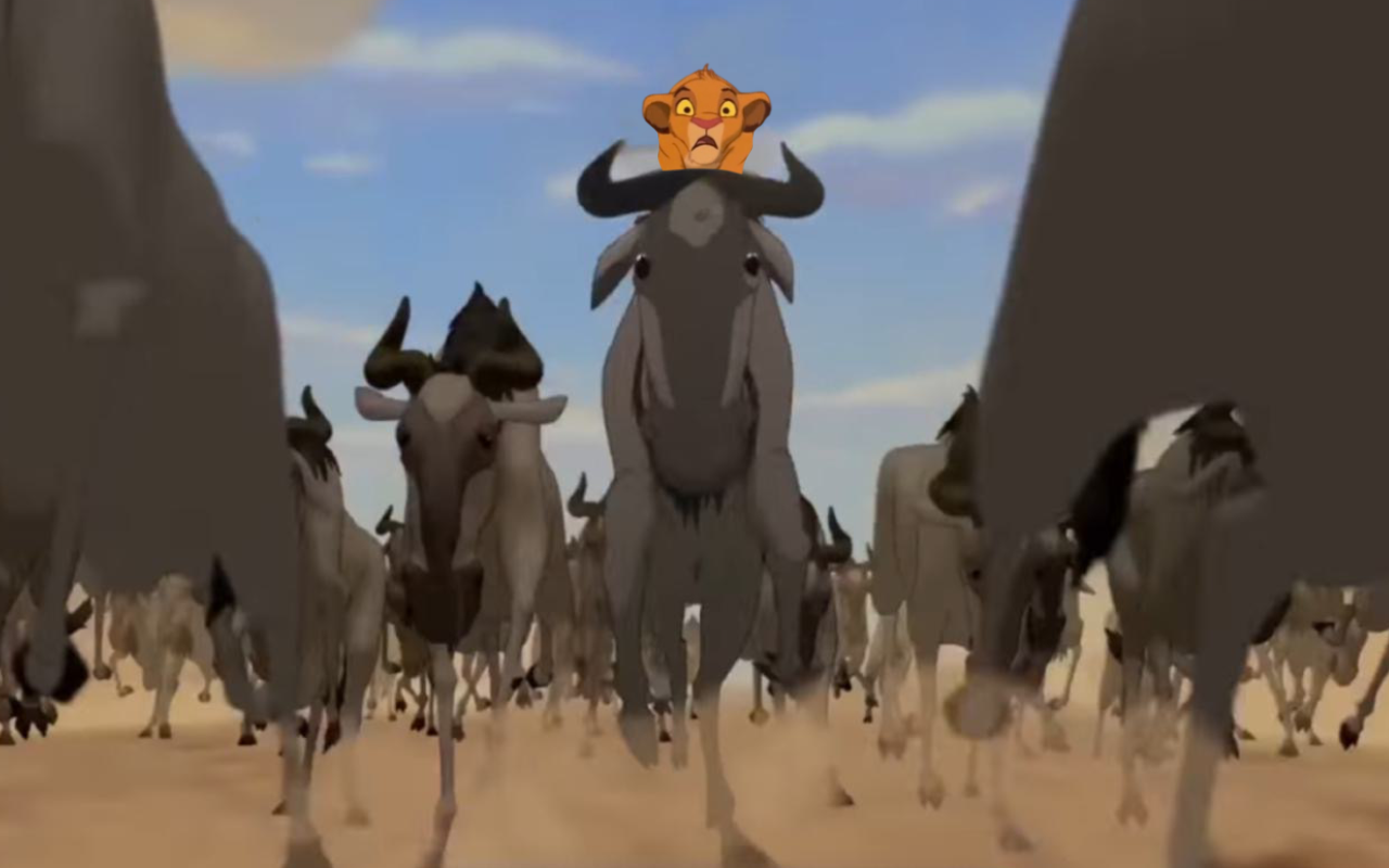 Simba Ride Simba rides the wildebeest by DracoAwesomeness on DeviantArt