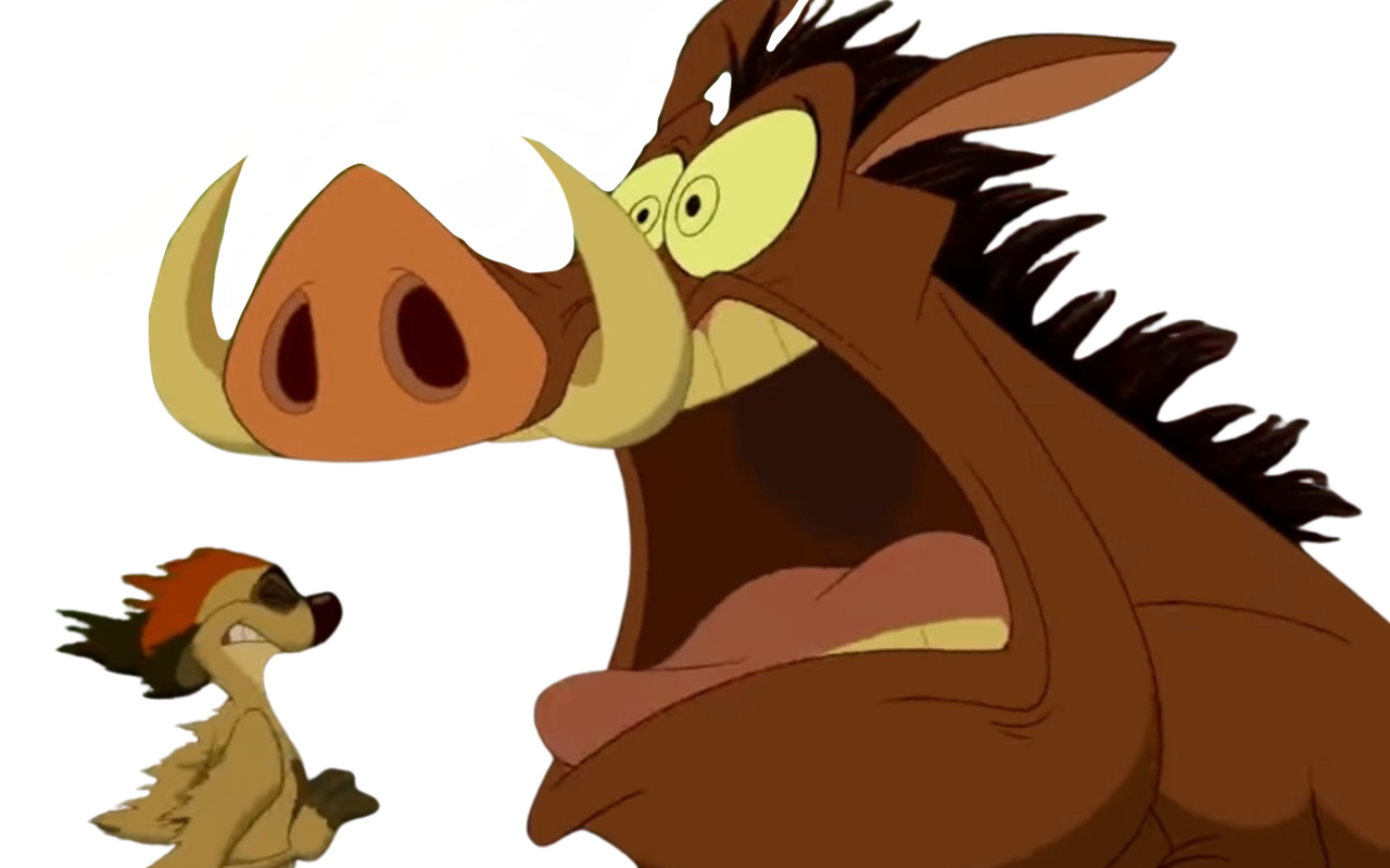 Timon and pumbaa by DracoAwesomeness on DeviantArt