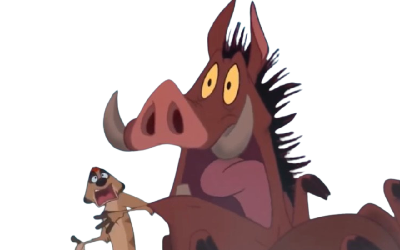 Timon and pumbaa by DracoAwesomeness on DeviantArt