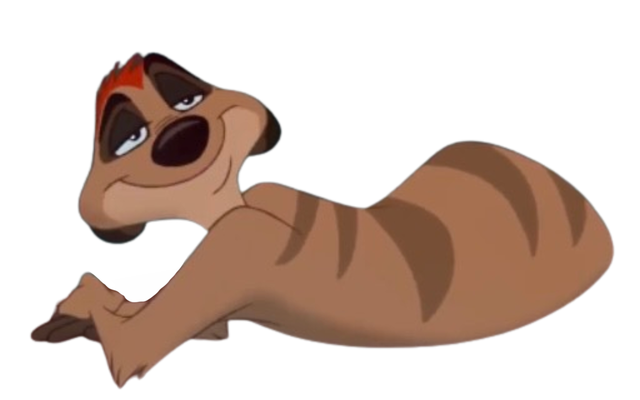 Timon by DracoAwesomeness on DeviantArt