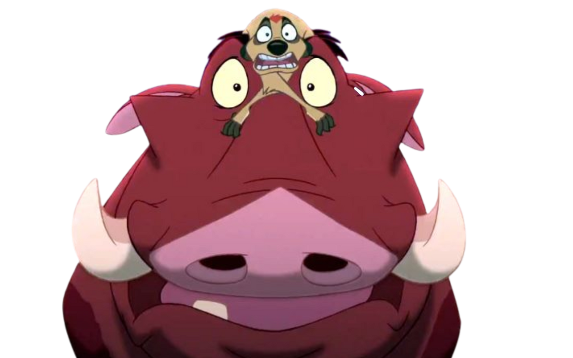 Timon and pumbaa by DracoAwesomeness on DeviantArt