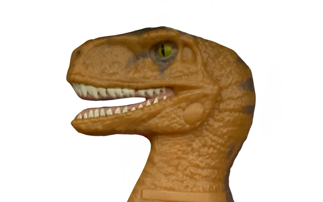 Raptor by DracoAwesomeness on DeviantArt