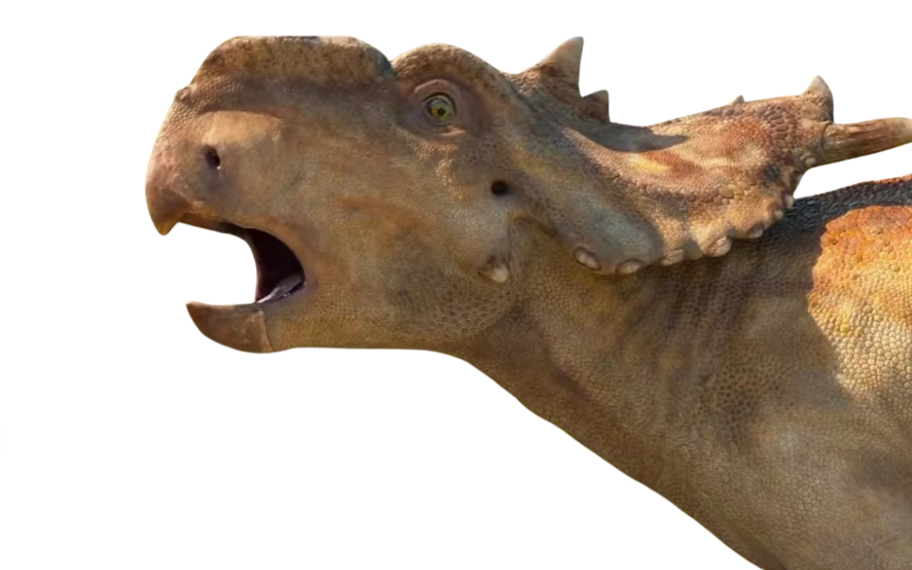Walking With Dinosaurs Pachyrhinosaurus Bulldust walking-with-dinosaurs-pachyrhinosaurus-bulldust