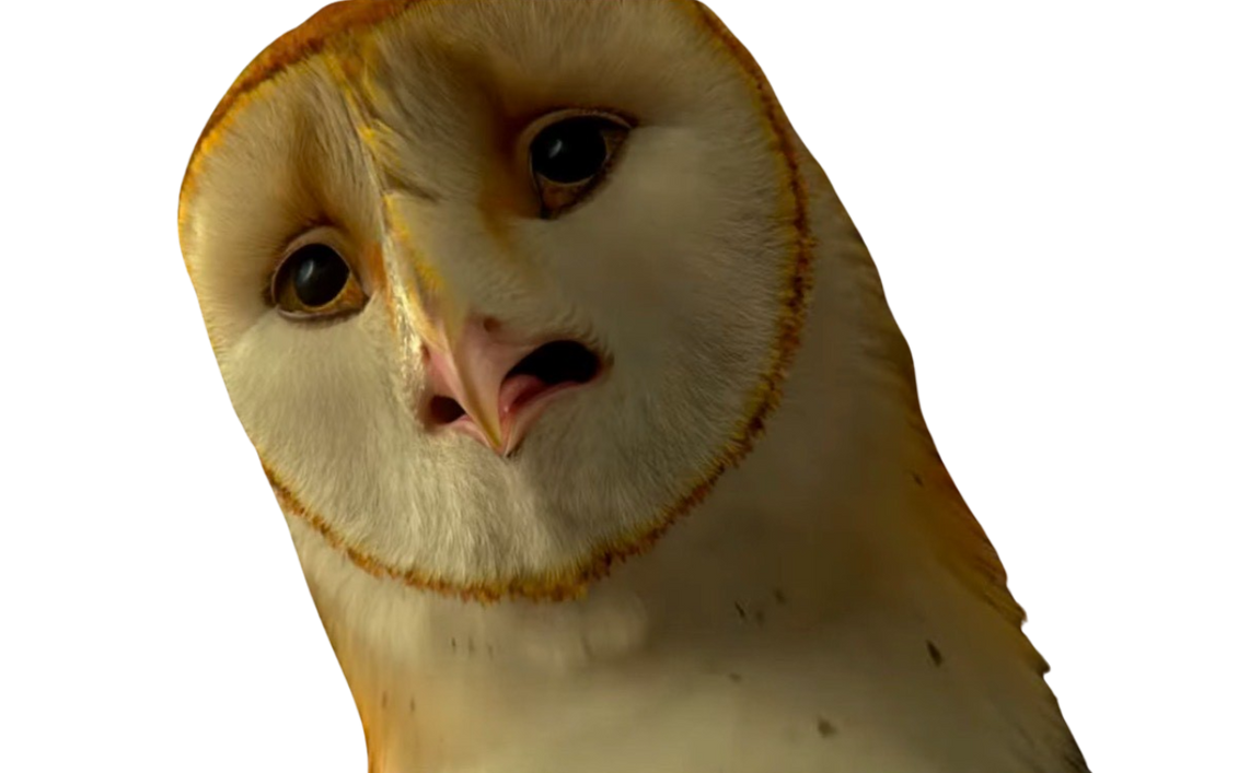 Soren by DracoAwesomeness on DeviantArt