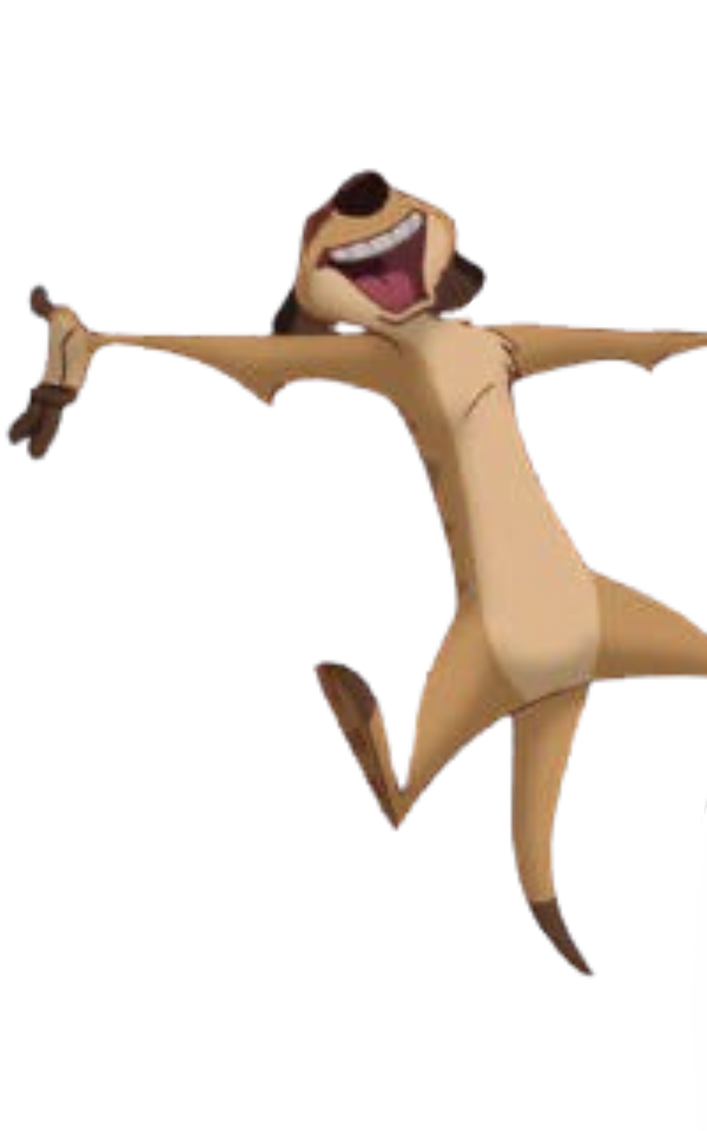 Timon by DracoAwesomeness on DeviantArt