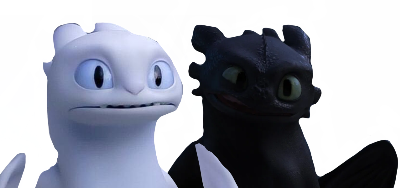 Toothless And Light Fury Backpack at Jane Whitsett blog