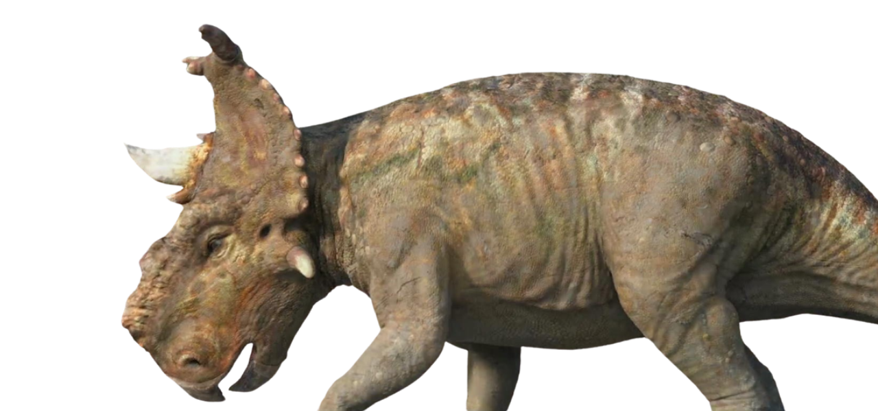 Rex Major Major by DracoAwesomeness on DeviantArt