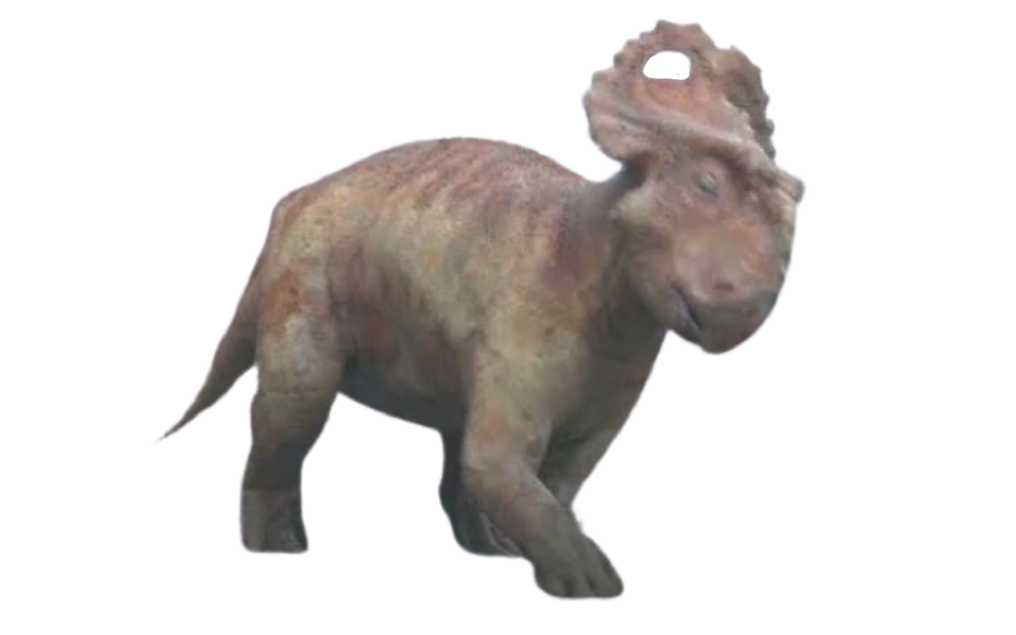 Patchi by DracoAwesomeness on DeviantArt