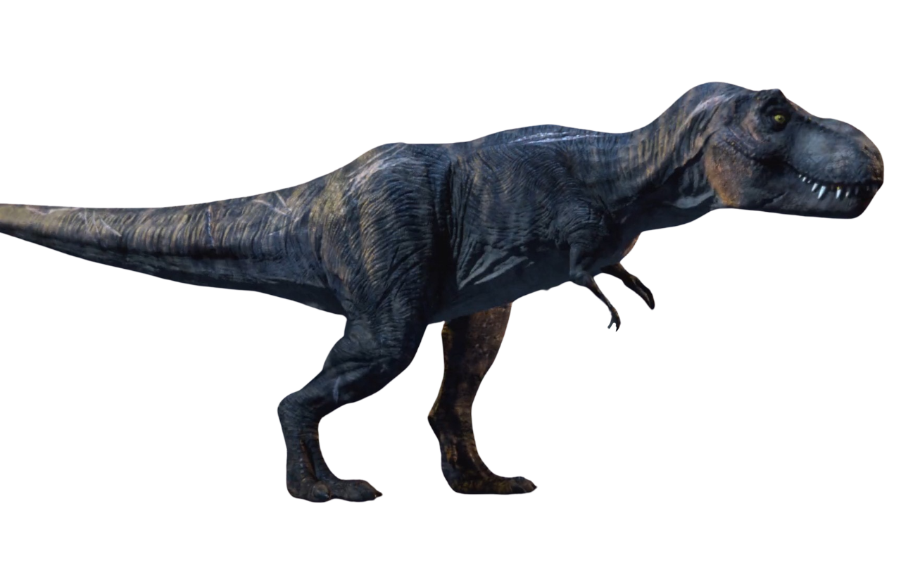 T. rex by DracoAwesomeness on DeviantArt
