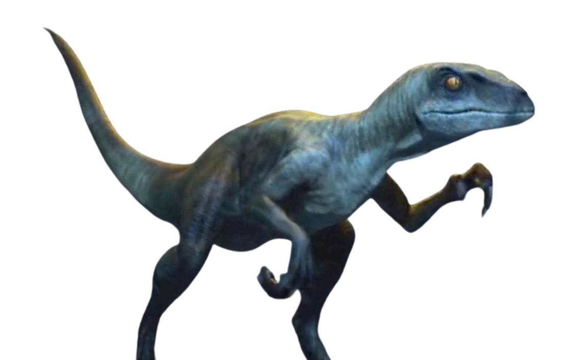 Raptor by DracoAwesomeness on DeviantArt