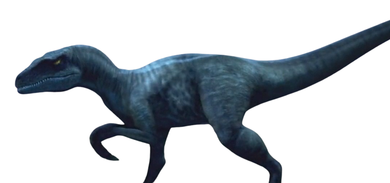 Raptor by DracoAwesomeness on DeviantArt