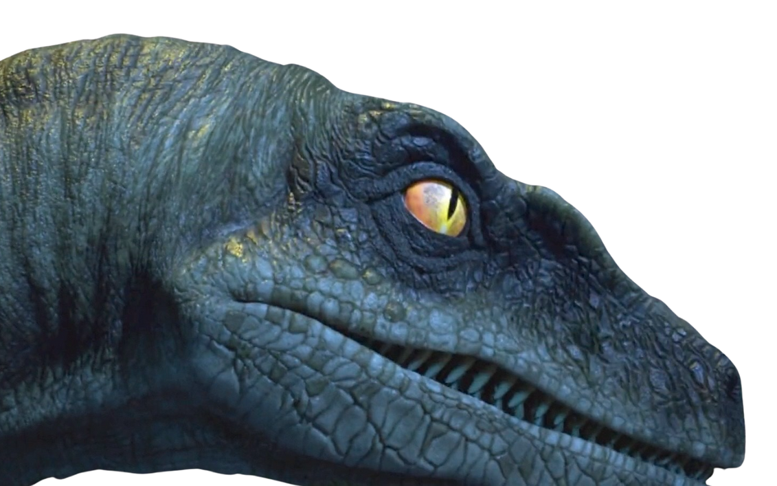 Raptor by DracoAwesomeness on DeviantArt
