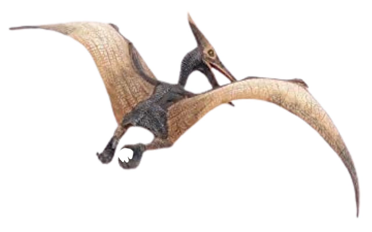 Pterodactyl png images
