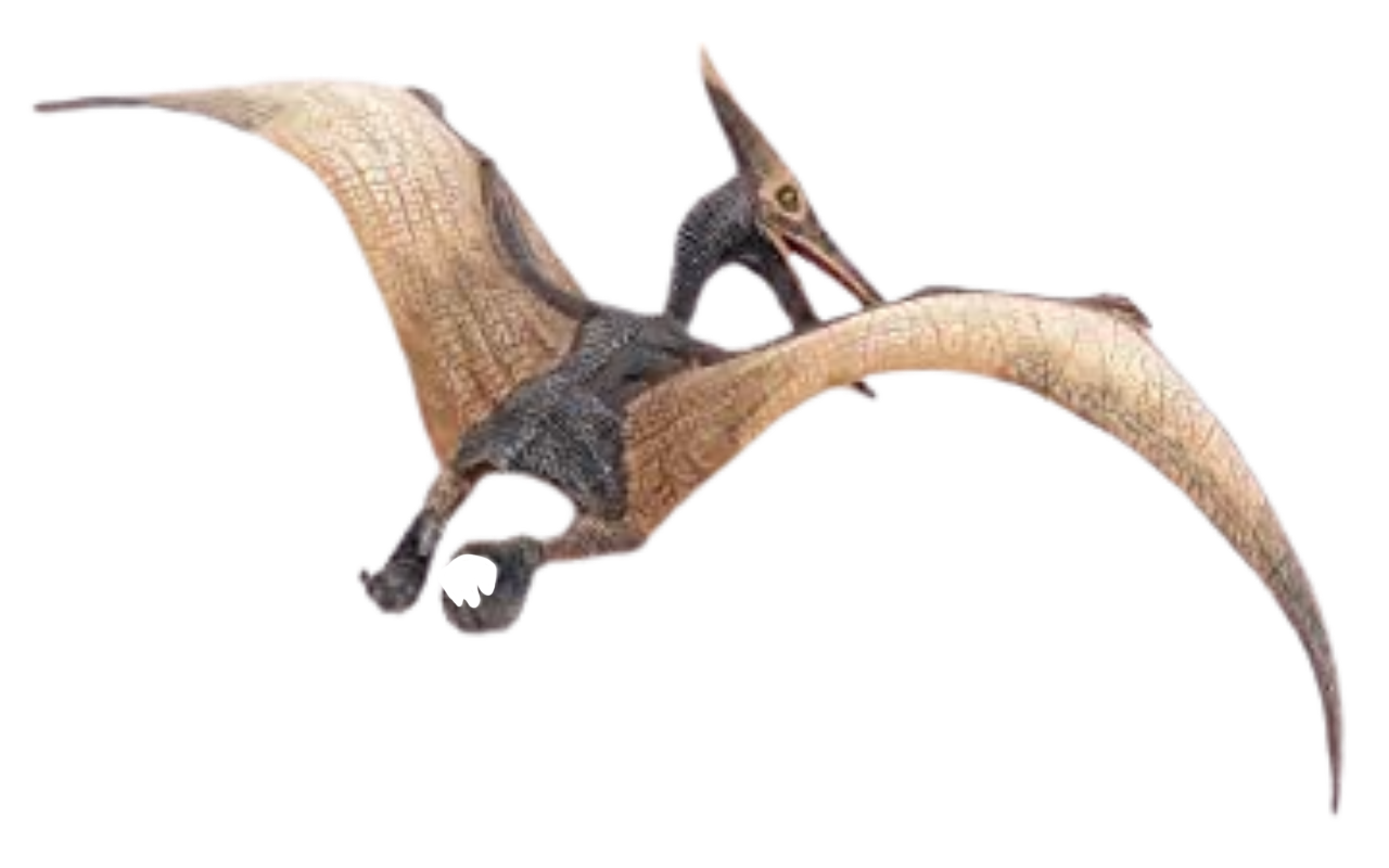 File:Pterodactyl (PSF).png - Wikipedia