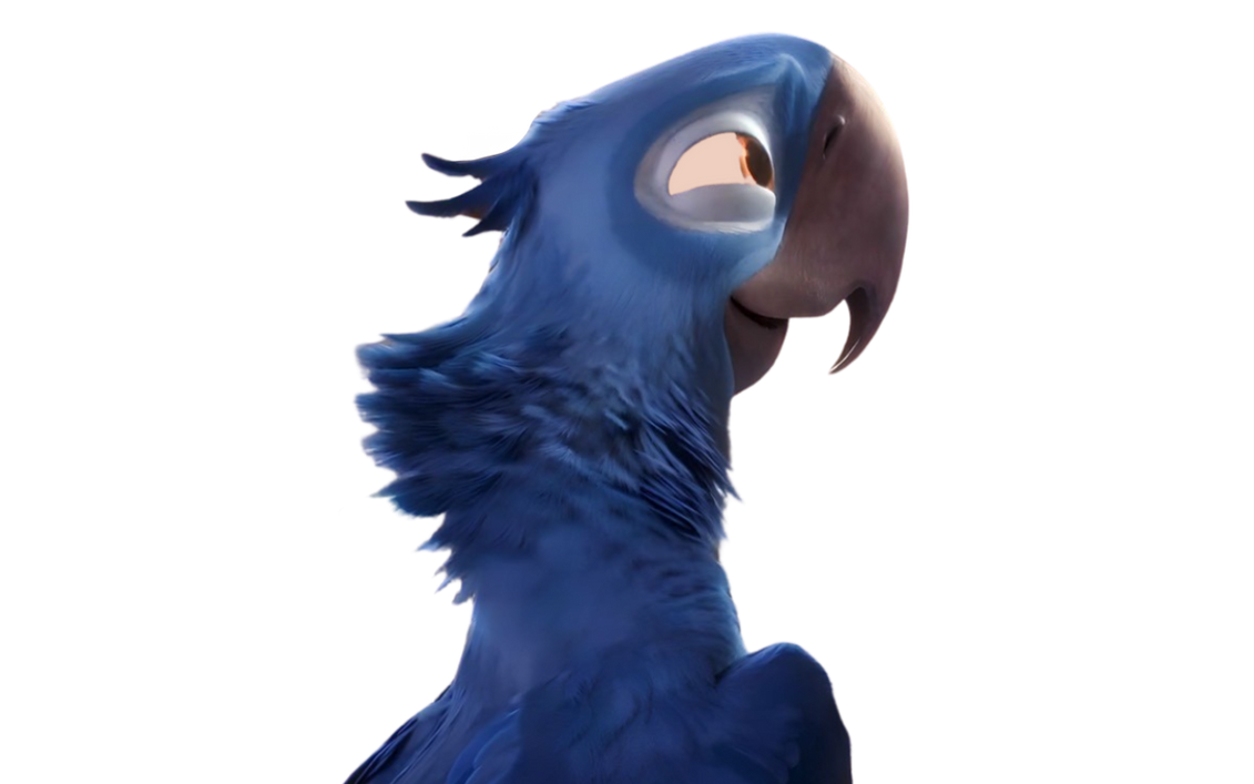 Blu Rio Render Deviantart Blu by DracoAwesomeness on DeviantArt