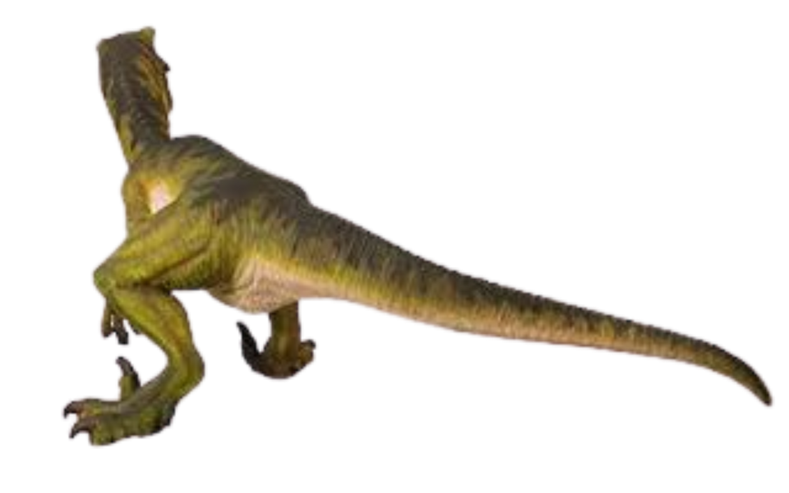 Raptor tail by DracoAwesomeness on DeviantArt
