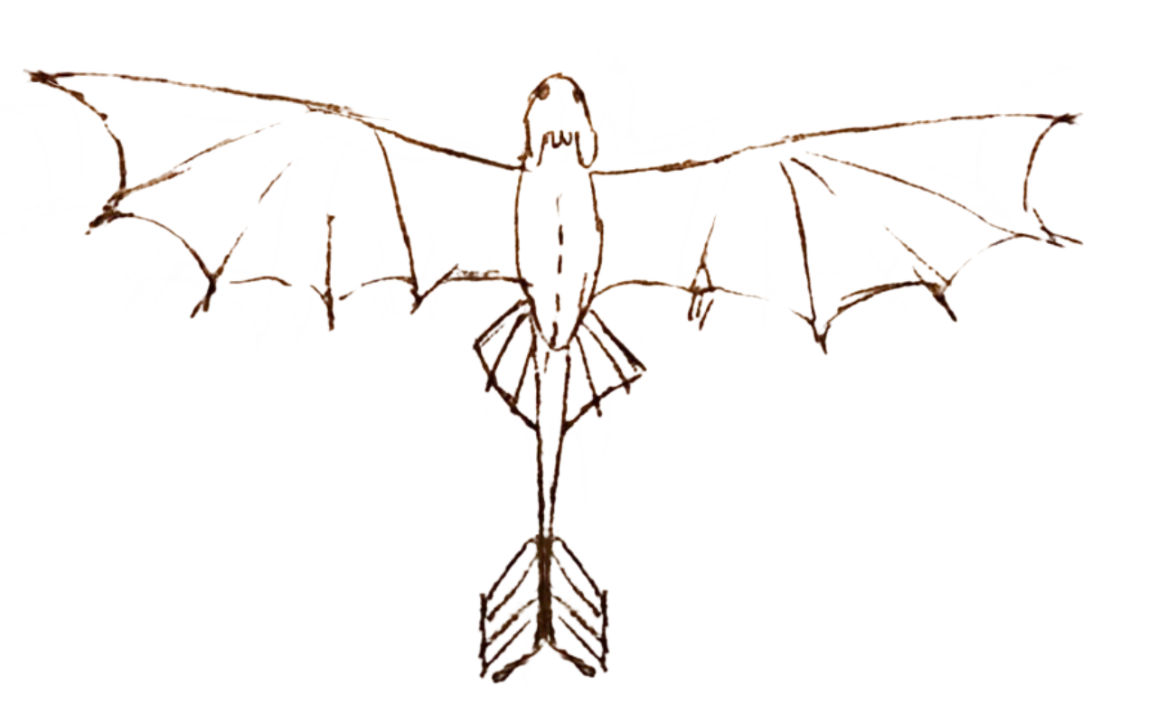 Hiccups toothless drawing png by DracoAwesomeness on DeviantArt