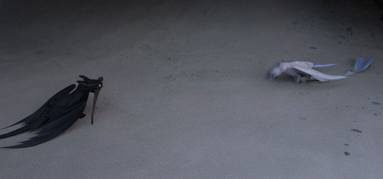 Toothless draws what in the sand by DracoAwesomeness on DeviantArt