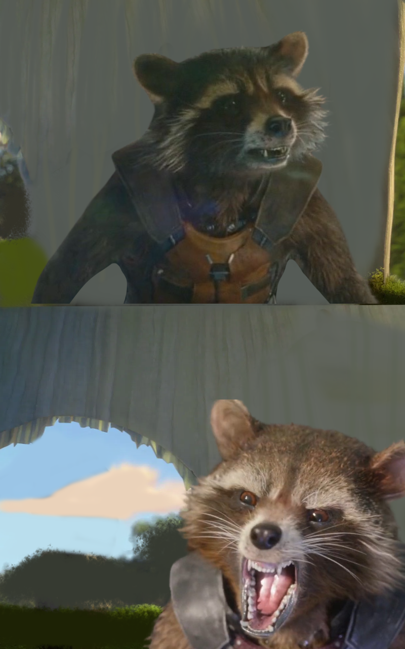 Rocket raccoon meme by DracoAwesomeness on DeviantArt