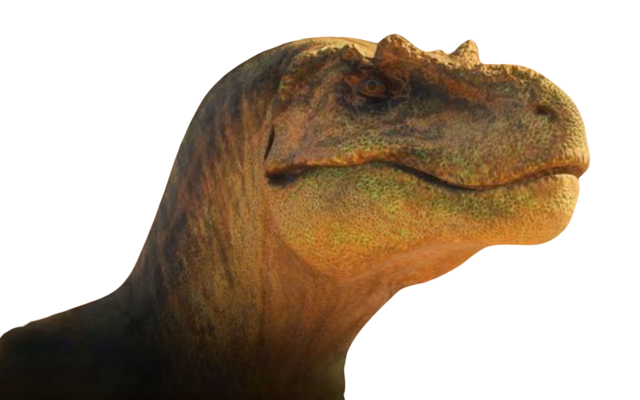 T. rex by DracoAwesomeness on DeviantArt