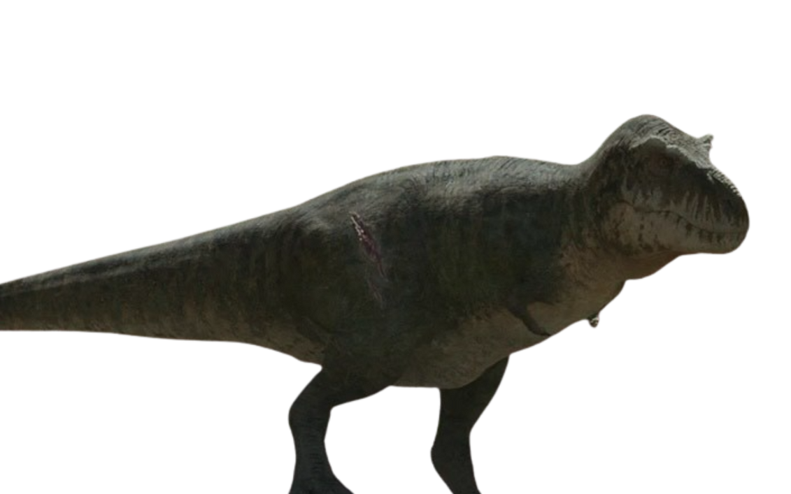 T. rex by DracoAwesomeness on DeviantArt