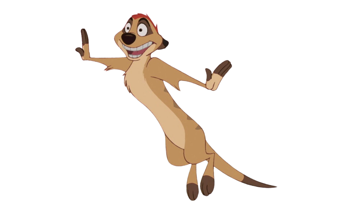 Timon by DracoAwesomeness on DeviantArt