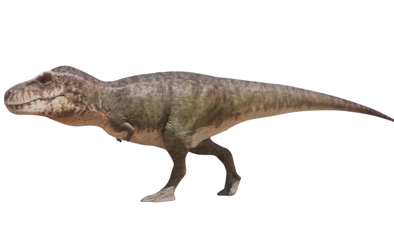 Jurassic World Tyrannosaurus Rex Render 6 by tsilvadino on DeviantArt