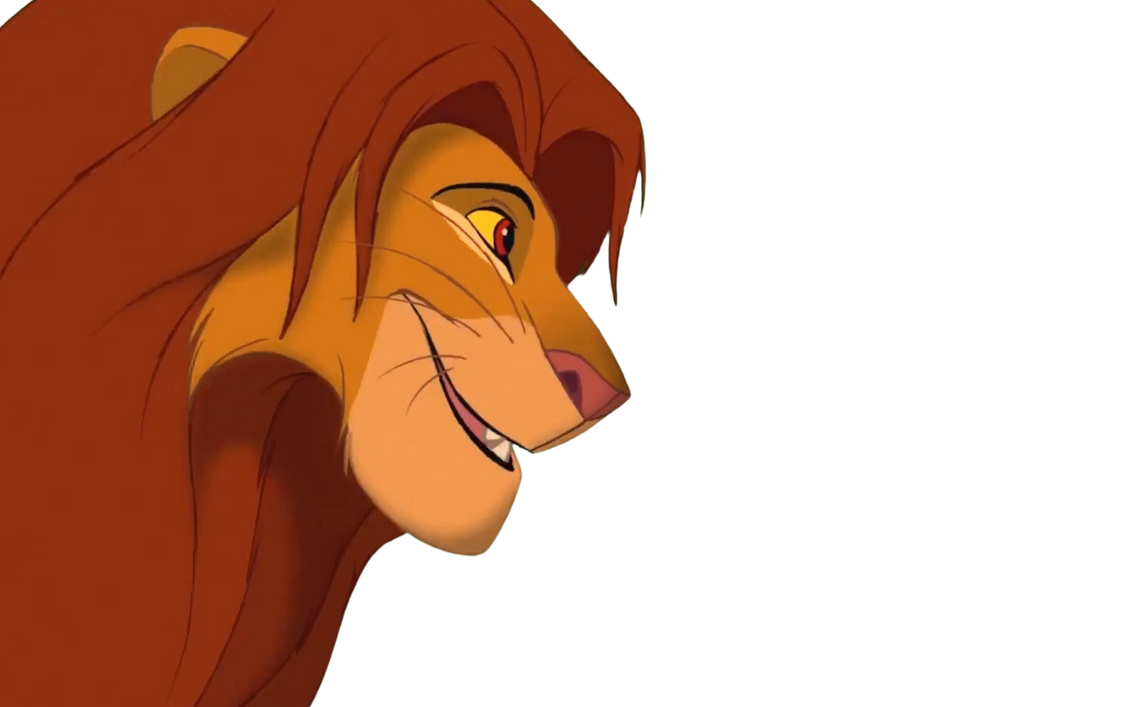 Simba by DracoAwesomeness on DeviantArt
